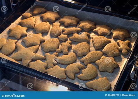 Freshly Baked Gingerbread Cookies On The Baking Tray In The Oven For A