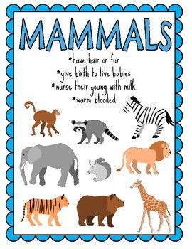 Mammals Poster - Pets Lovers