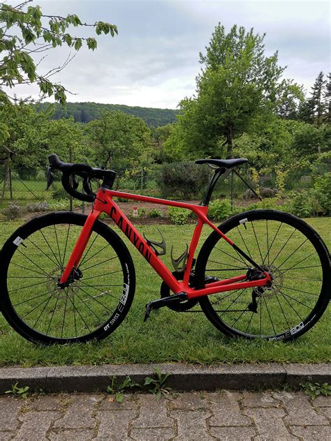 Canyon Endurace Cf Slx Di Wmn Used In Xs Buycycle