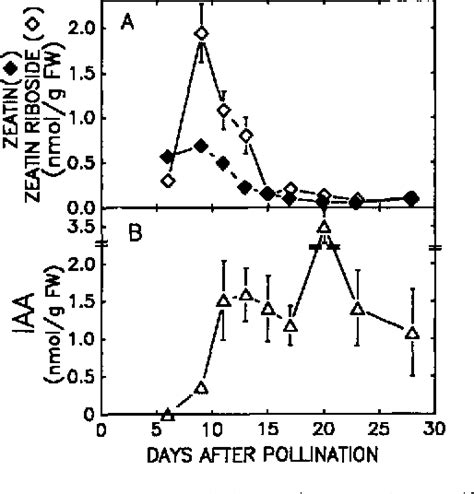 Figure 1 From Role Of Auxin In Maize Endosperm Development Timing Of