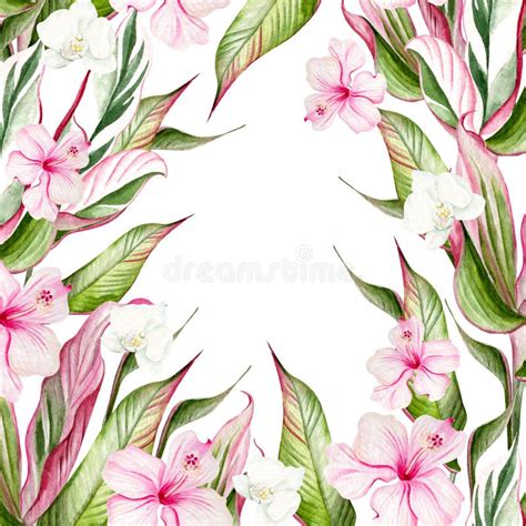 Belle Aquarelle Carte Tropicale Avec Fleurs D Hibiscus Et Feuilles