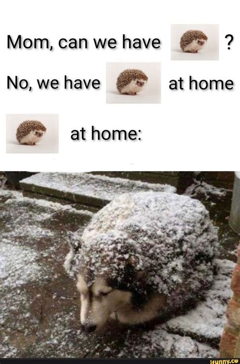 We Have At Home Meme Template