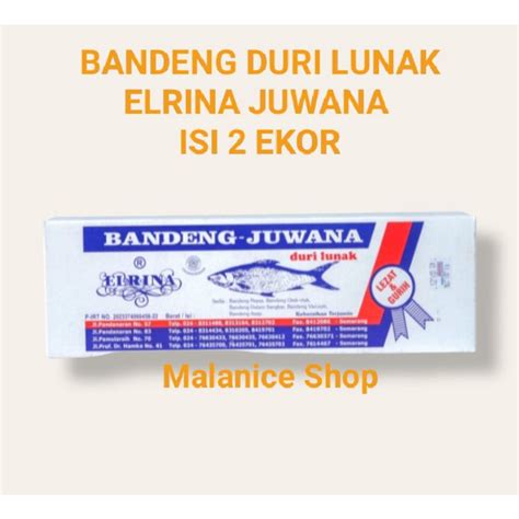 Jual BANDENG DURI LUNAK ELRINA JUWANA ISI 2 EKOR KEMASAN VACUM Shopee