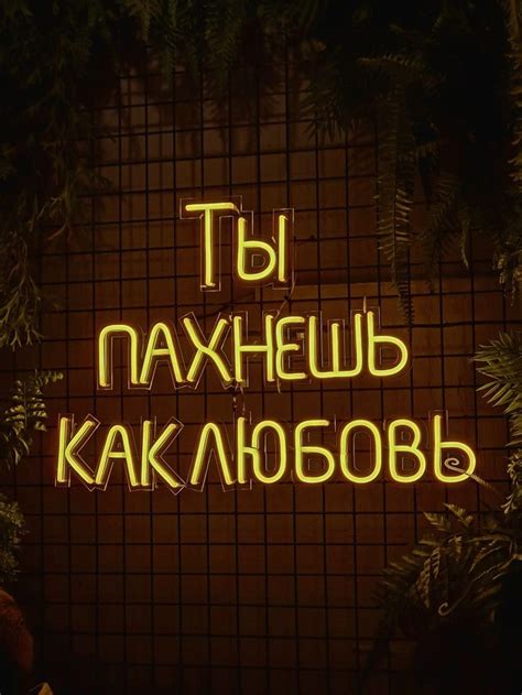 Кофейня. Эстетичная надпись, любовь.
