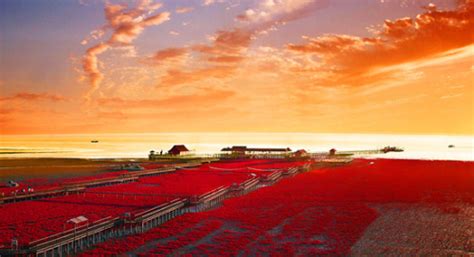 Make steps for changes...: Red SeaBeach, China