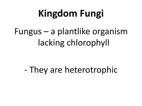 Ppt Fungi Powerpoint Presentation Free Download Id5288514