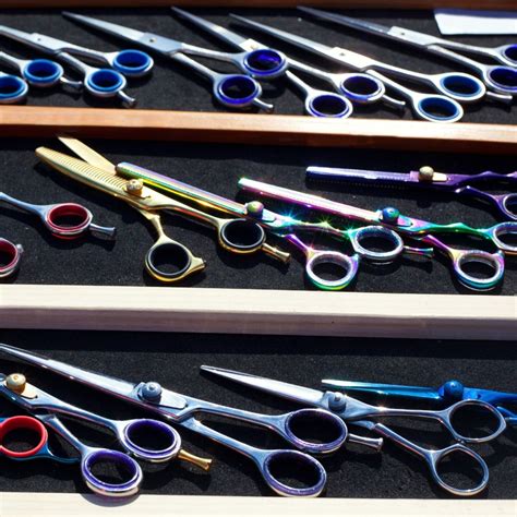 Different Types Of Hairdressing Scissors You Need | Hair Scissor Types ...