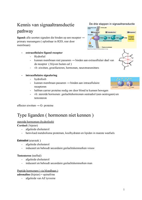 Casus 4 Van Signaal Tot Actie Kennis Van Signaaltransductie Pathway