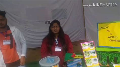 BOTANY MODEL || BOTANY MODEL FOR SCIENCE EXHIBITION || SCIENCE PROJECT || - YouTube