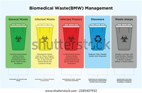 Biomedical Waste Segregation Royalty Free Images Stock Photos