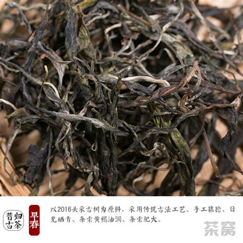 2016年书剑古茶 春茶系列 昔归古树茶 生茶 100克罐价格多少钱 茶窝网 正品普洱茶商城