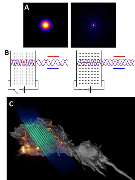 Light Sheet Microscopy Advantages | Shelly Lighting