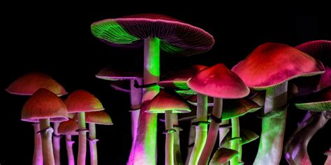 Psilocybin Mushrooms Effects