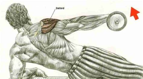 Incline Side Lying Dumbbell Lateral Raise • Bodybuilding Wizard