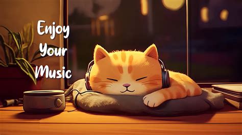 3 Hours Lofi Cat Enjoy Your Music Relaxing Lofi Beats To Chill