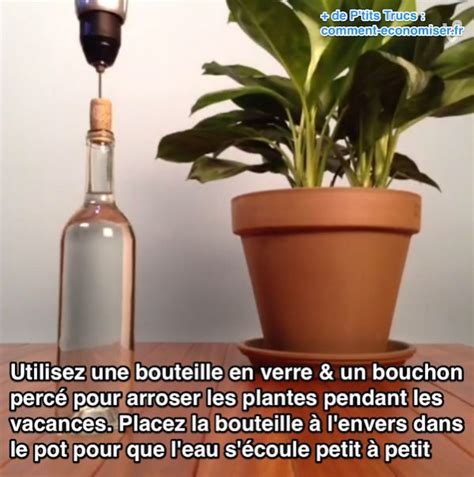 Astuces Pour Arroser Ses Plantes Pendant Les Vacances