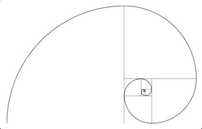 Fibonacci spiral explained - rekamontreal