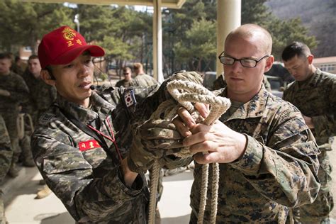 Climb And Place Marines Complete Mountain Warfare Training In South Korea