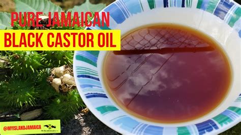 How I Make My Own Jamaican Black CASTOR OIL Step By Step YouTube