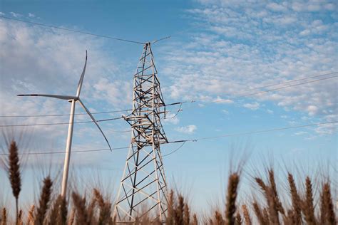 IUCN and RGI join forces to promote nature positive renewable energy