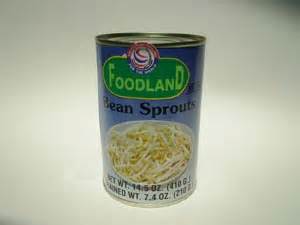 Canned Bean Sprouts,Thailand price supplier - 21food