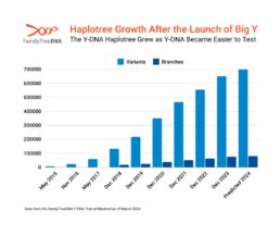 What is Y-DNA? - FamilyTreeDNA Blog