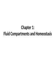 Ch 1 And 2 Lecture Ppt Chapter 1 Fluid Compartments And Homeostasis