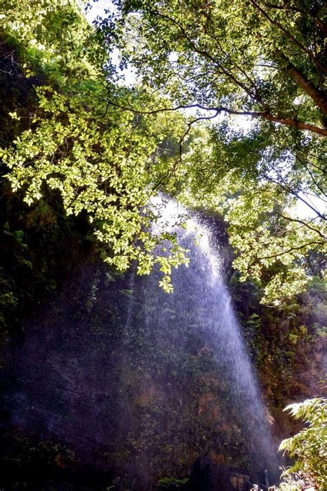 Water Splash Waterfall stock photo. Image of island - 261470662