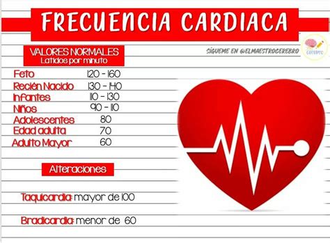 Cual Es La Frecuencia Cardiaca Normal En Reposo Depende De Cada Otosection