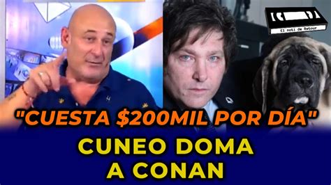 Santiago Cuneo Doma A Los Perros De Javier Milei Santiagocuneo Youtube