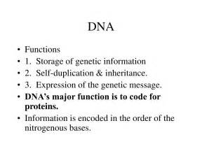 PPT - DNA: Structure and Function PowerPoint Presentation, free ...