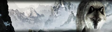 Wolf Banner by Nolan989890 on DeviantArt