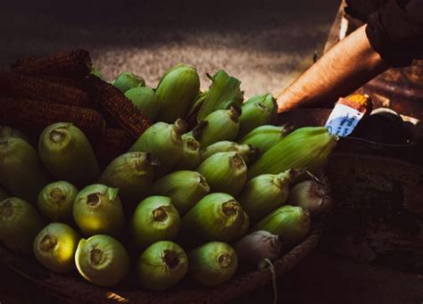 Humita En Chala Aprende A Hacer Esta Tradicional Receta De Semana