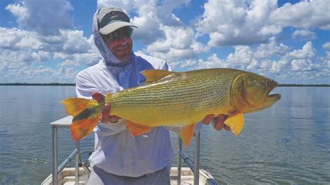 Dorados de dos dígitos en Puerto Rzepecki Weekend