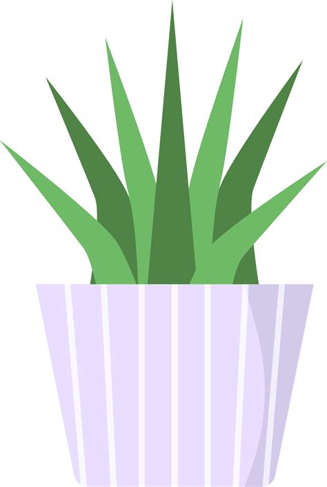 Sukkulente Aloe Vera Pflanze in einem süßen Topf 12794918 PNG