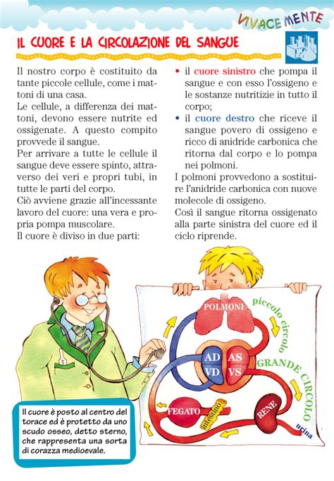 VIVACEMENTE Il Giornalino Del Cuore E Della Mente Il Cuore E L