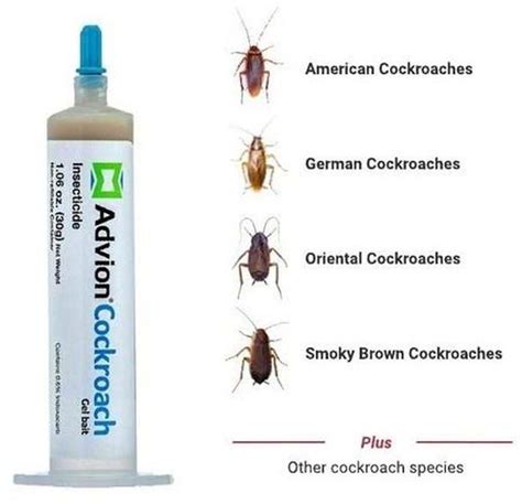 Syngenta Advion Cockroach Gel Bait Tube X Gm Tube Price From