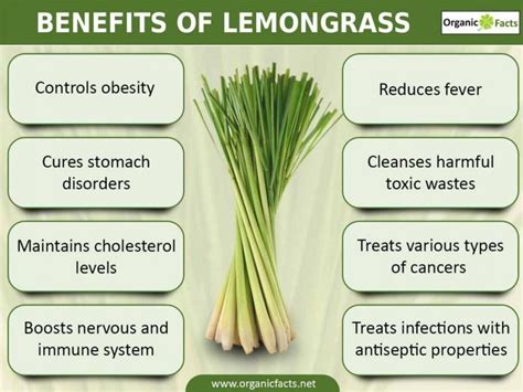 Benefits Of Lemongrass Health Benefits