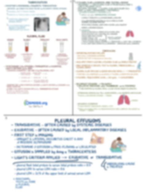 Solution Pleural Effusion Studypool