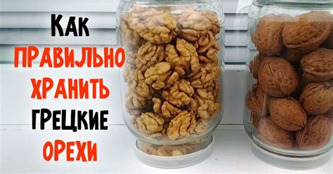Как хранить грецкие орехи: маленькие хитрости - Со Вкусом