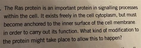 solved  ras protein   important protein  signalling cheggcom