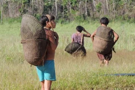 Venezuela Desastre ambiental y sociocultural al sur del río Orinoco