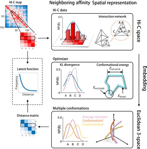 Figure From Reconstructing Spatial Organizations Of Chromosomes