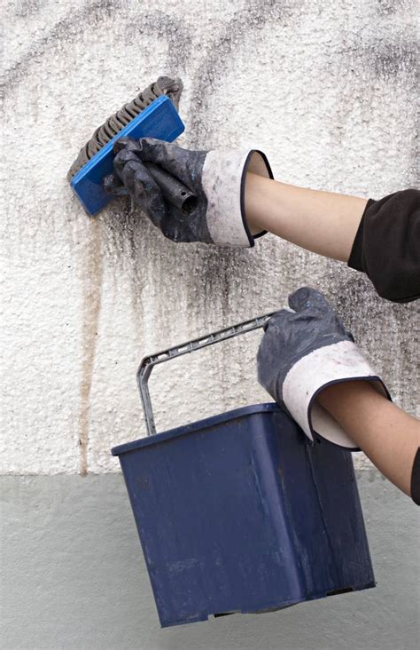 Graffiti Removal Cost Guide | Airtasker US