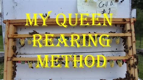 My Queen Rearing Method Youtube