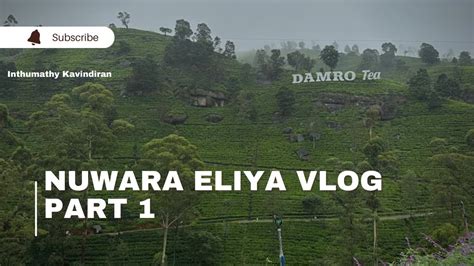 Nuwara Eliya Vlog Part 1 வடமறயல நவரலய சனற பத YouTube