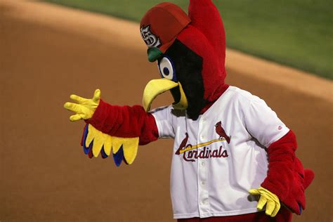 St. Louis Cardinals Release Freebies For Entire Season