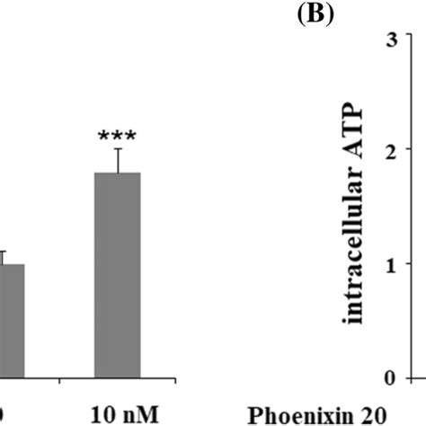 Phoenixin Promoted Mitochondrial Biogenesis Of Human M Neuronal