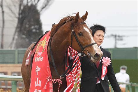 マテンロウスカイとバロンドールがドバイ遠征へ 鞍上はどちらも横山典弘騎手｜競馬ニュース｜競馬予想のウマニティ