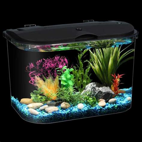 Complete Guide How To Care For Betta Fish Properly Small Fish Tank